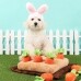 썸네일(스크롤)