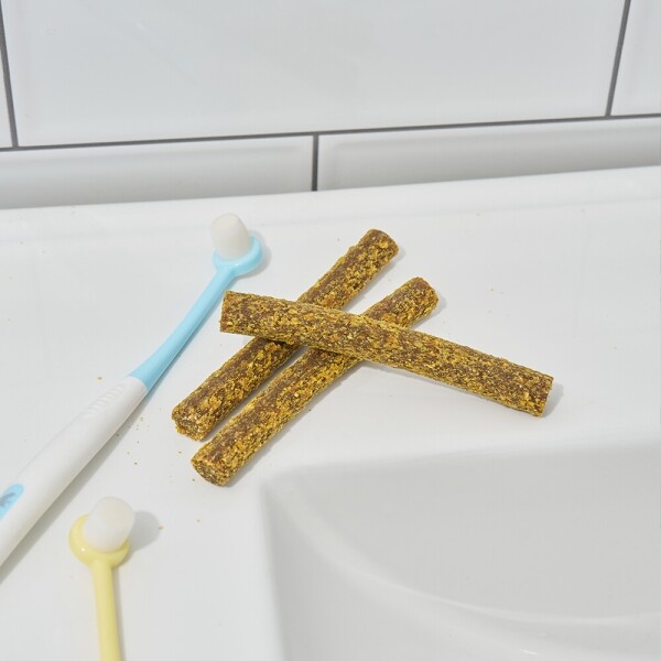 아르깡시엘,도그트릿 강아지 치석제거 껌 살몬 망고 덴탈스틱 283g